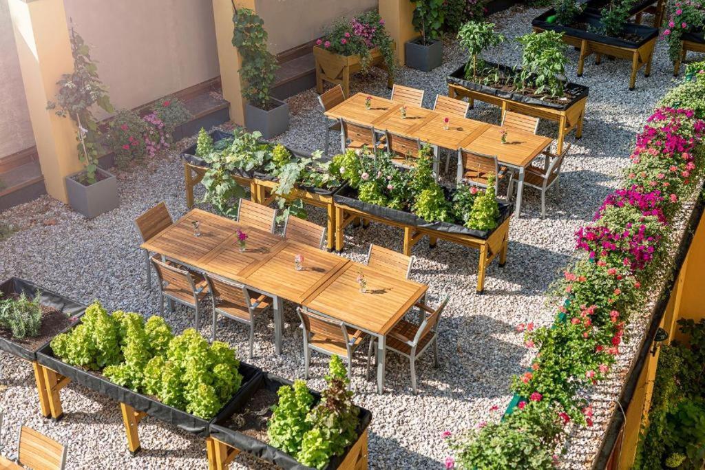 Augarten Apartments 维也纳 外观 照片